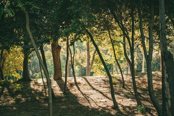 Hoe kun je omgaan met een plateau in je gewichtsverliesproces?